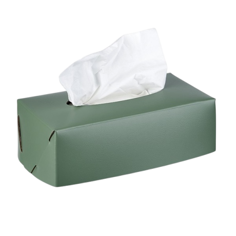 Салфетница COLOMBO DESIGN ADJ 016.60/50 настольная цвет эвкалипт/небесный