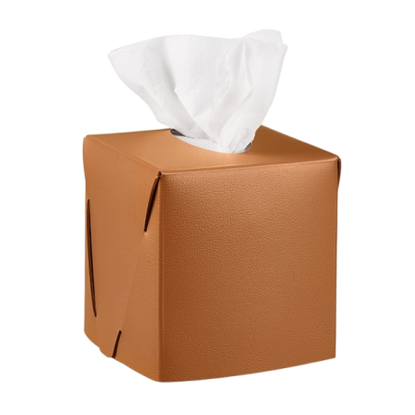 Салфетница COLOMBO DESIGN ADJ 015.09/30 настольная цвет коньяк/бордо